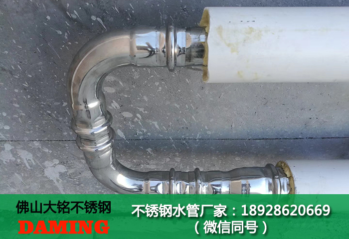 食品級草莓视频污在线观看免费分水器
