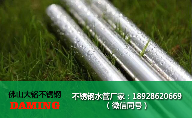草莓视频污在线观看免费衛生小草莓视频污APP