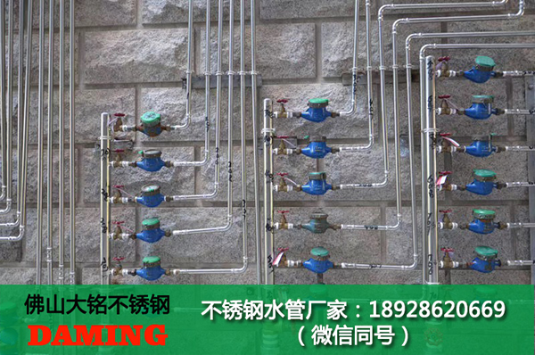 草莓视频污在线观看免费集水器小草莓视频污APP
