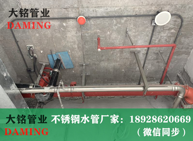316L草莓视频污在线观看免费卡壓管